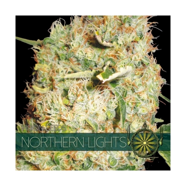 Northern Lights (Vision Seeds) Feminiserede