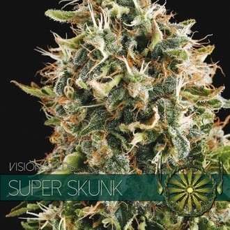 Super Skunk (Vision Seeds) Feminiserede