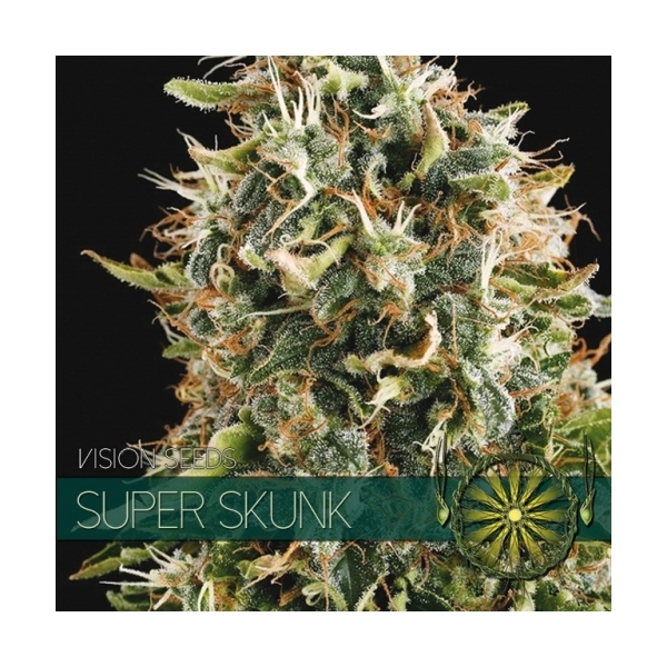 Super Skunk (Vision Seeds) Feminiserede