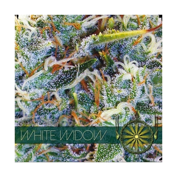 White Widow (Vision Seeds) Feminiserede