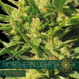 Northern Lights Autoflowering (Vision Seeds) Feminiserede