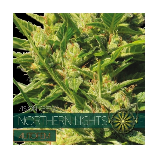 Northern Lights Autoflowering (Vision Seeds) Feminiserede