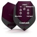 Feminiserede mix (Royal Queen Seeds)