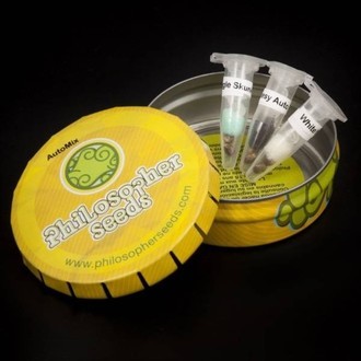 Auto Mix (Philosopher Seeds) Feminiserede