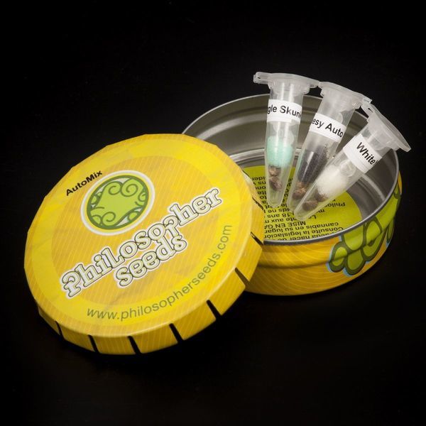 Auto Mix (Philosopher Seeds) Feminiserede