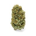 Amnesia Haze (Zamnesia Seeds) Feminiserede