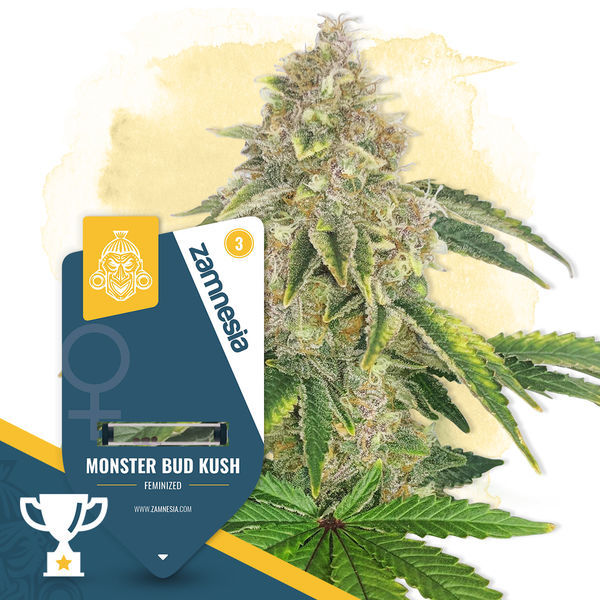 Monster Bud Kush (Zamnesia Seeds) Feminiserede