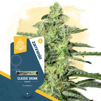 Classic Skunk (Zamnesia Seeds) feminiserede cannabisfr&oslash;