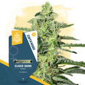 Classic Skunk (Zamnesia Seeds) Feminiserede