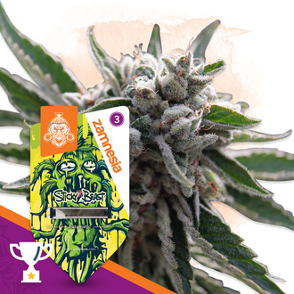 Sticky Beast Autoflower (Zamnesia Seeds) Feminiserede