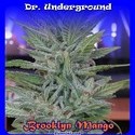 Brooklyn Mango (Dr. Underground) Feminiserede