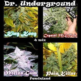 Surprise Killer Mix (Dr. Underground) Feminiserede