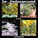 Surprise Killer Mix (Dr. Underground) Feminiserede