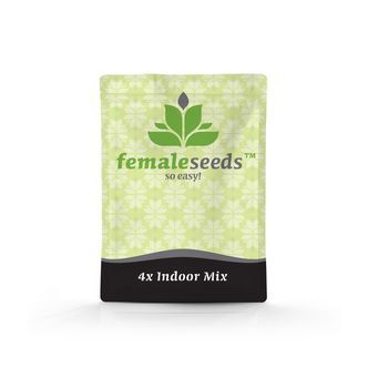 Indoor Mix (Female Seeds) feminiserede