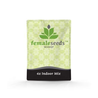 Indoor Mix (Female Seeds) Feminiserede