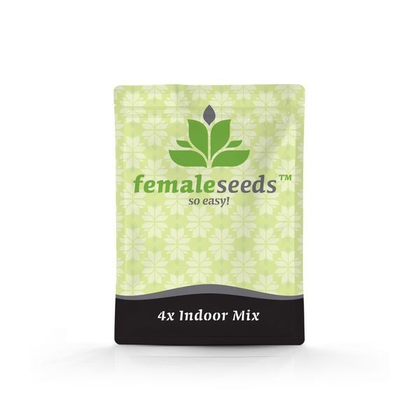 Indoor Mix (Female Seeds) Feminiserede