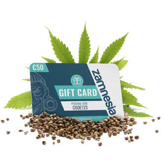 Zamnesia gavekort &ndash; 50 euro