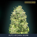 Auto Afghan Skunk (Advanced Seeds) Feminiserede