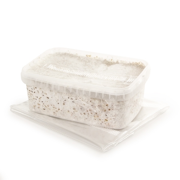 Zamnesia SUPREME grow kit 'B+'