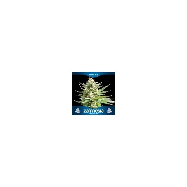 3 gratis cannabisfrø (Zamnesia Seeds)