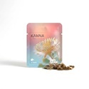 Kanna (Sceletium tortuosum) 10 frø