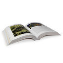 Cannabis Grow Bible (engelsk - 3. udgave)