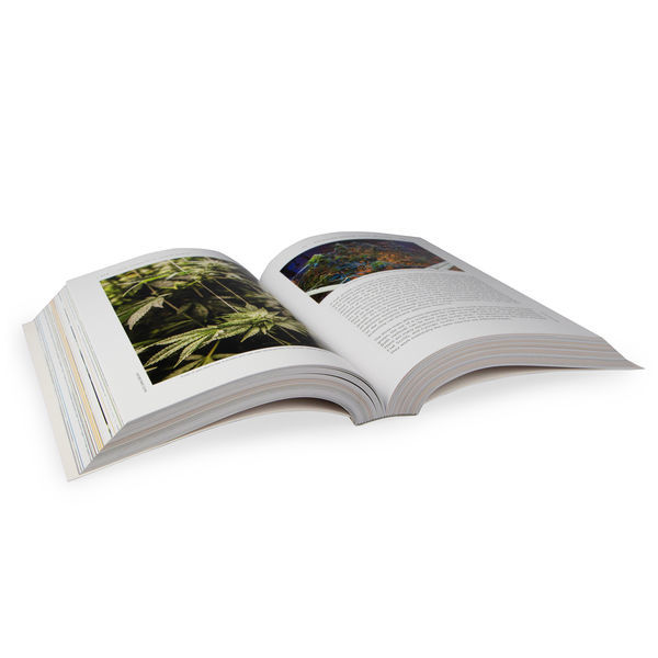 Cannabis Grow Bible (engelsk - 3. udgave)
