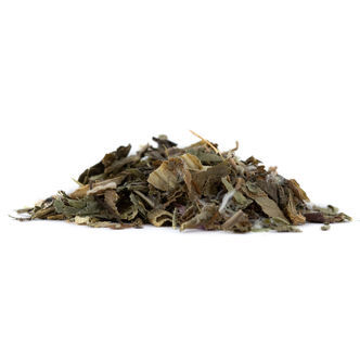 Vild salat - Lactuca virosa