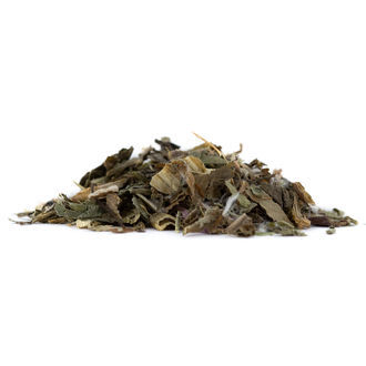 Vild salat &ndash; Lactuca virosa