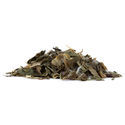 Vild salat – Lactuca virosa