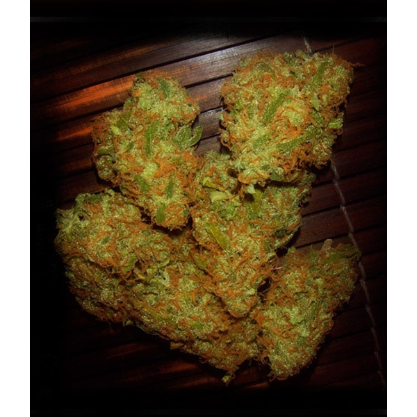 Amnezia VIP (VIP Seeds) Feminiserede
