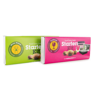 Royal Queen Seeds starts&aelig;t