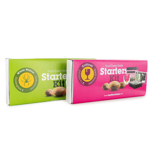 Royal Queen Seeds startsæt