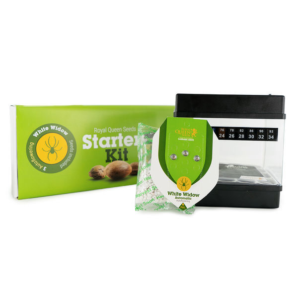 Royal Queen Seeds startsæt