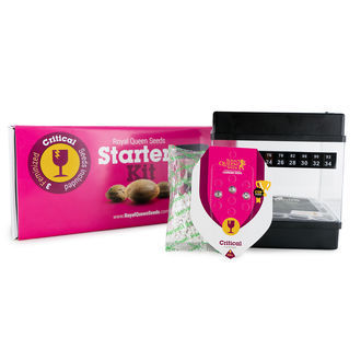 Royal Queen Seeds startsæt