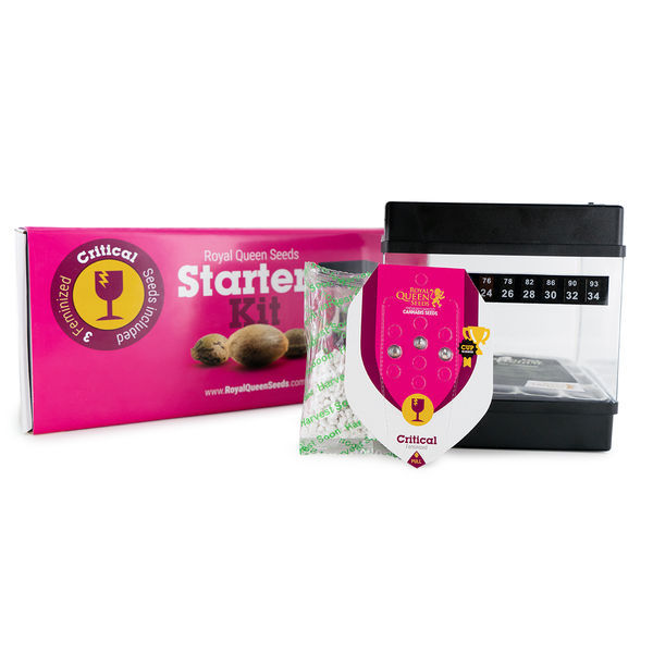 Royal Queen Seeds startsæt