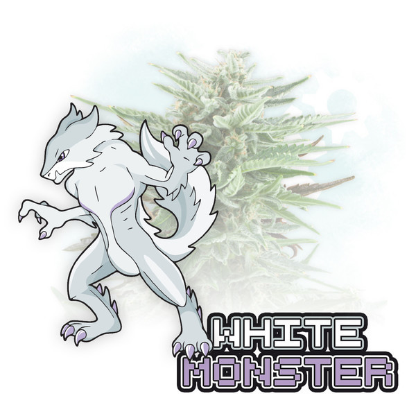 White Monster Autoflower (Zamnesia Seeds) Feminiserede