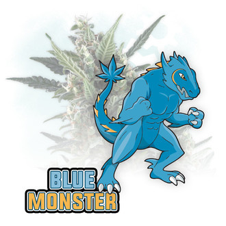 Blue Monster Autoflower (Zamnesia Seeds) Feminiserede