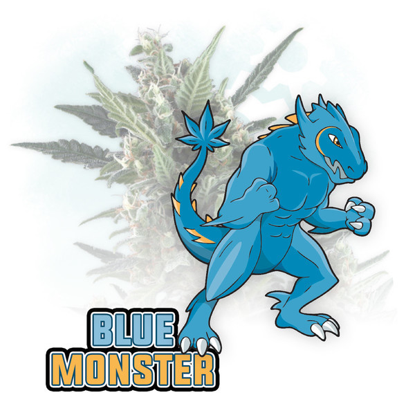 Blue Monster Autoflower (Zamnesia Seeds) Feminiserede