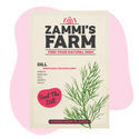 Dild (Anethum graveolens) Buddy Pack