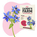 Agurkurt (Borago officinalis) Buddy Pack