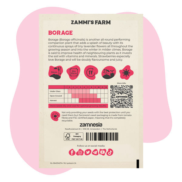 Agurkurt (Borago officinalis) Buddy Pack