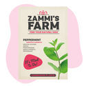 Pebermynte (Mentha piperita) Buddy Pack