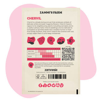 Kørvel (Anthriscus cerefolium) Buddy Pack