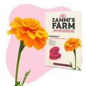 Morgenfrue (Calendula officinalis) Buddy Pack