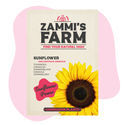 Solsikke (Helianthus annuus) buddy pack