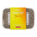 Zamnesia Classic grow kit 'Mexican'
