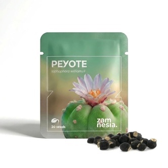 Peyote (Lophophora williamsii) 20 fr&oslash;