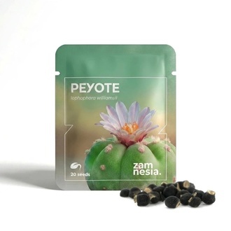 Peyote (Lophophora williamsii) 20 fr&oslash;