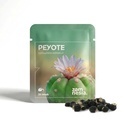 Peyote (Lophophora williamsii) 20 frø